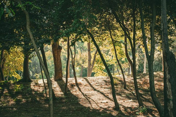 Wie kÃ¶nnen Senioren ihre MobilitÃ¤t im Alter erhalten?